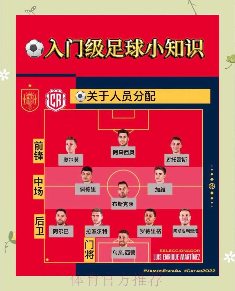 深入解析世界杯买球攻略与注意事项